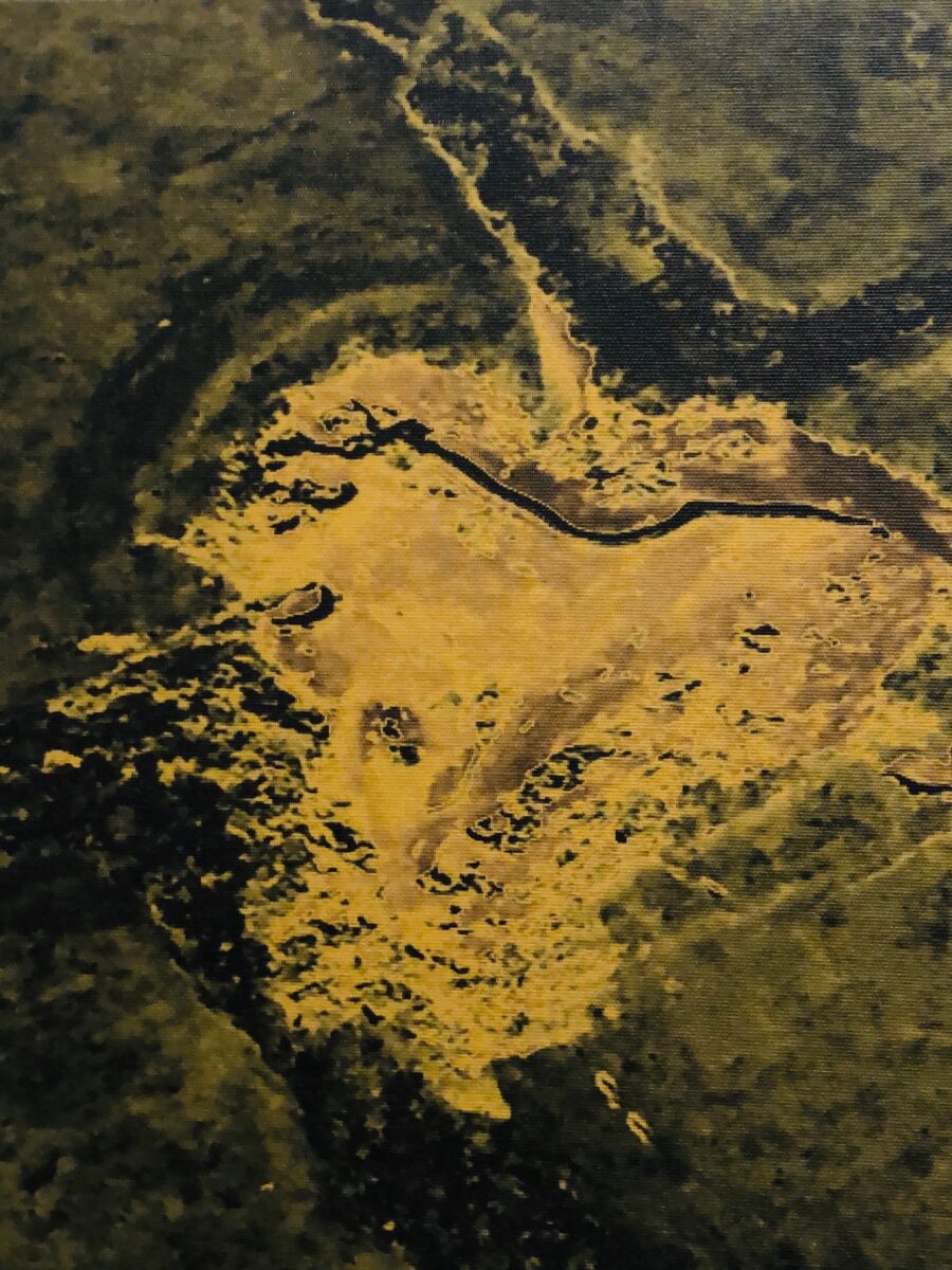 La Forma del Cuore - elemento Terra - pannello decorativo