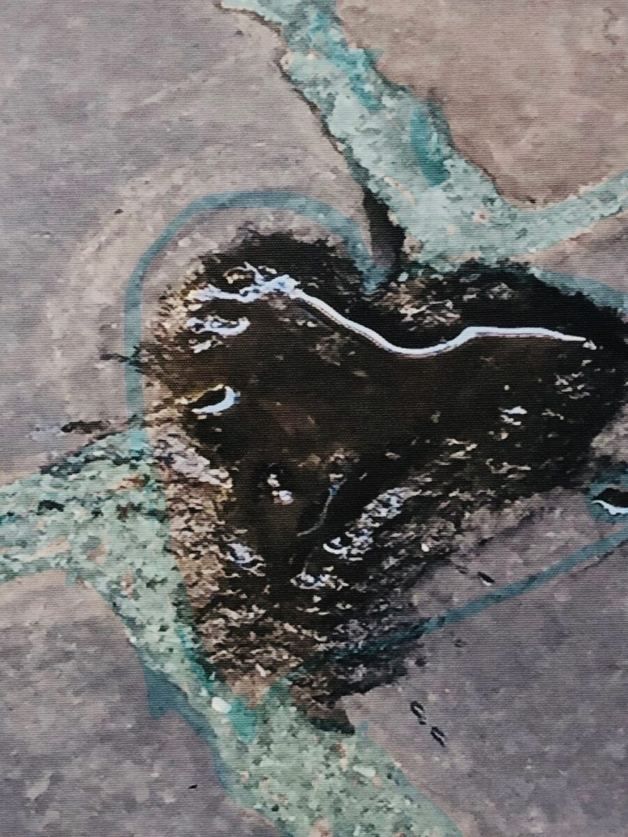 La Forma del Cuore - elemento Acqua - pannello decorativo