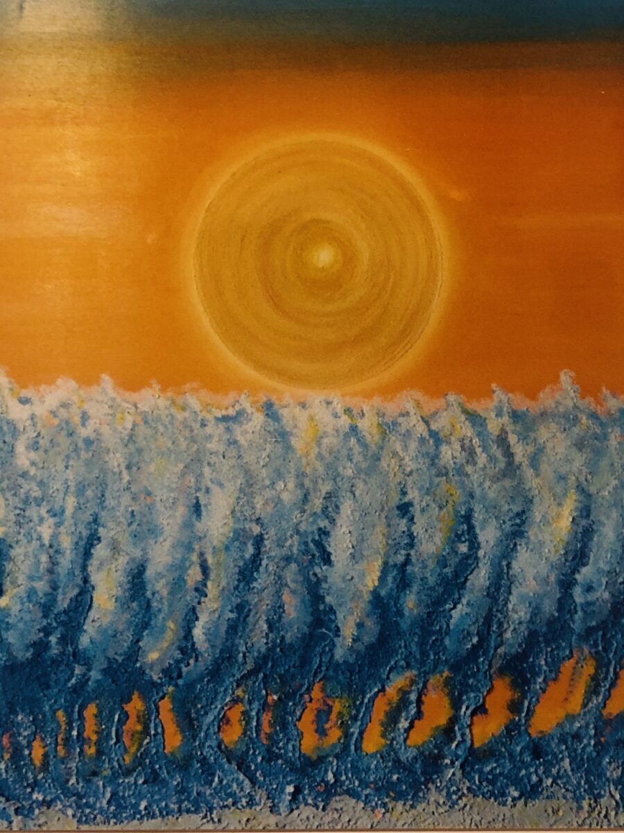 Anomisa Controluce