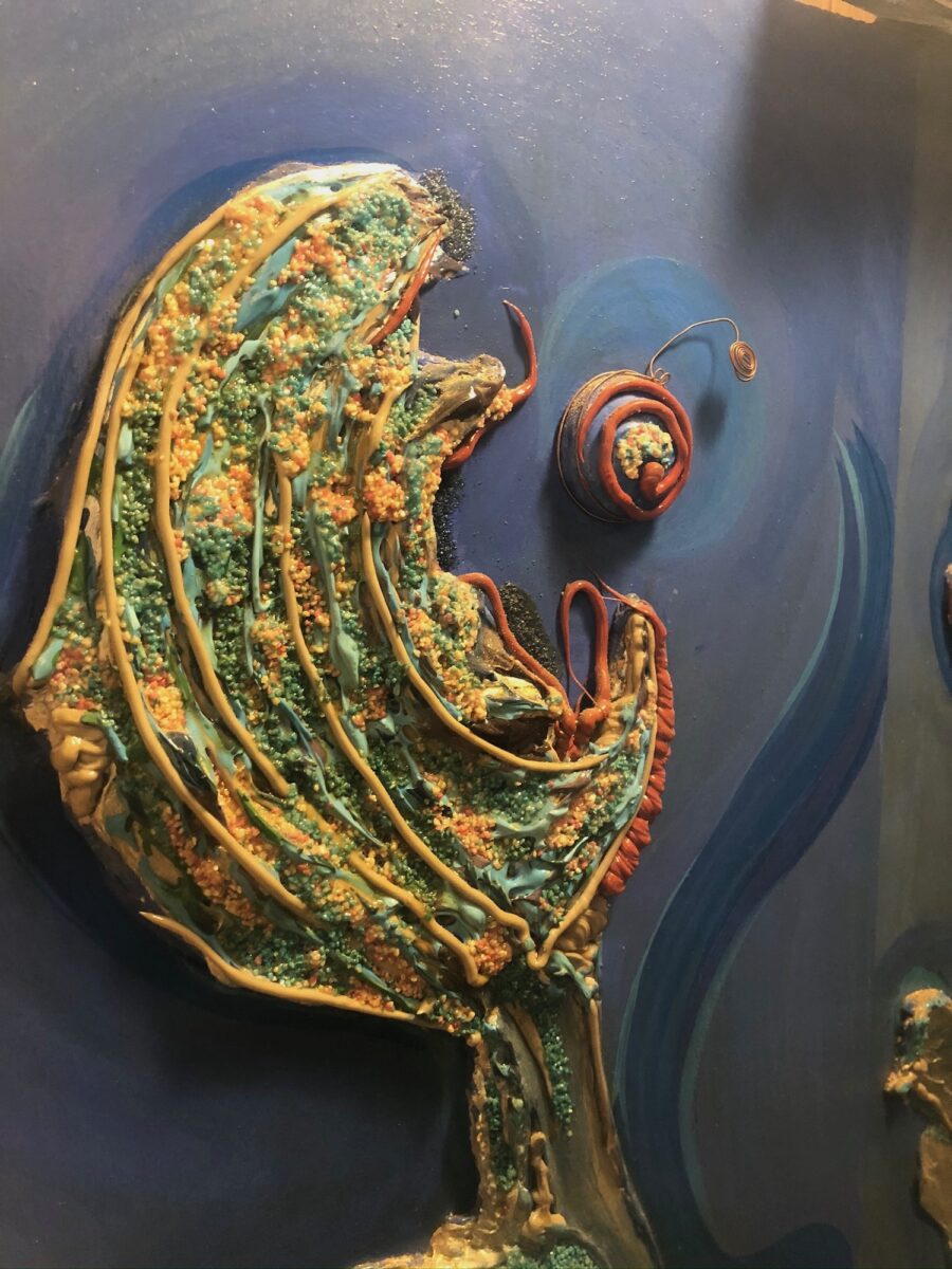 Anomisa Fiori nell'acqua