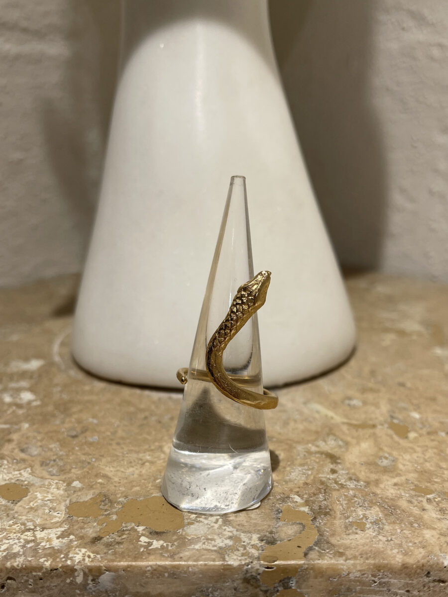 anomisa anello serpente 1